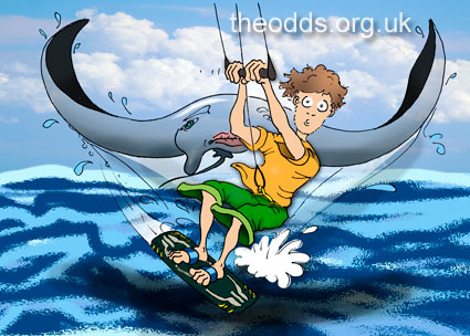 Kitesurfing Diaries cartoon